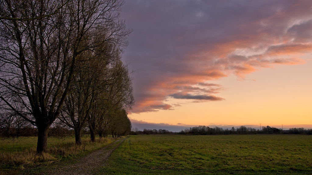 Landschaft