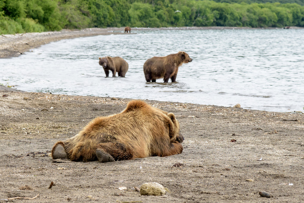 81D2617NEF-Kamchatka-0634-7.jpg