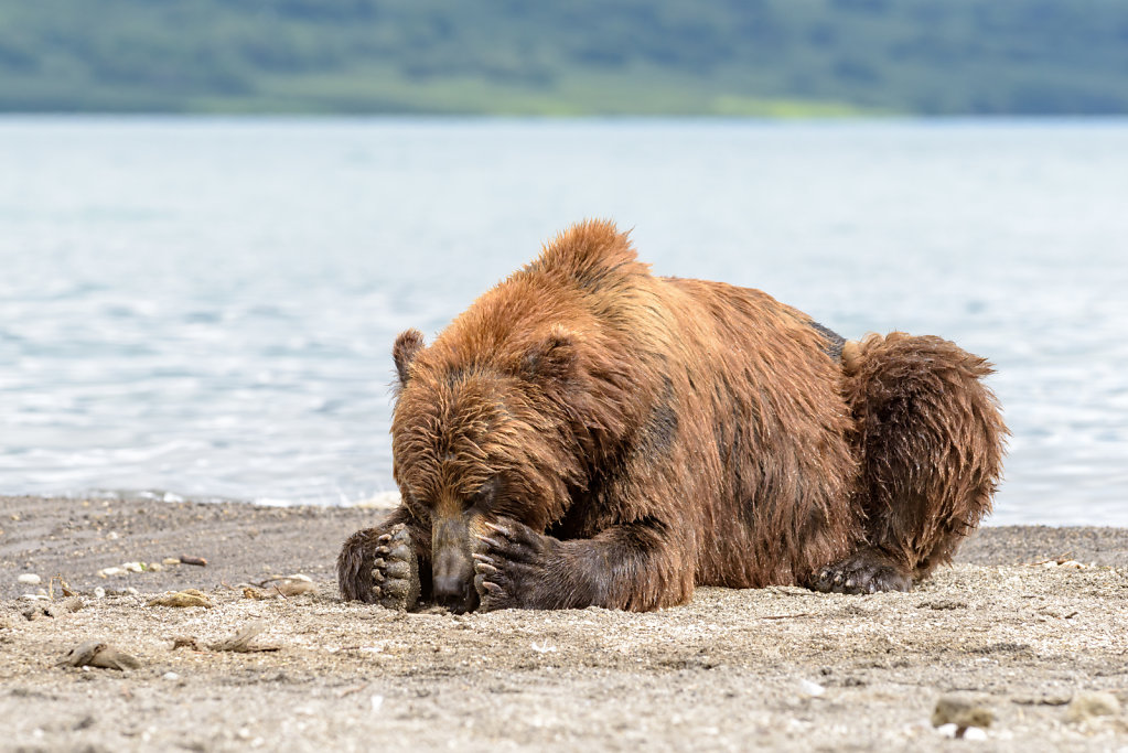 81D2707NEF-Kamchatka-0722-8.jpg