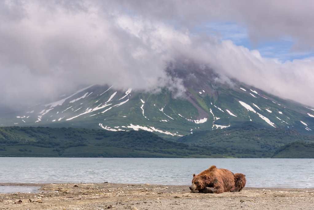 81D2720NEF-Kamchatka-0735-9.jpg