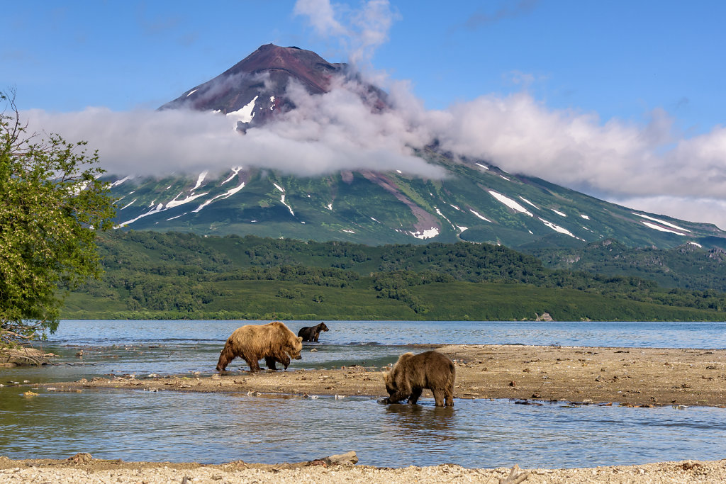 81D3602NEF-Kamchatka-1567-16.jpg